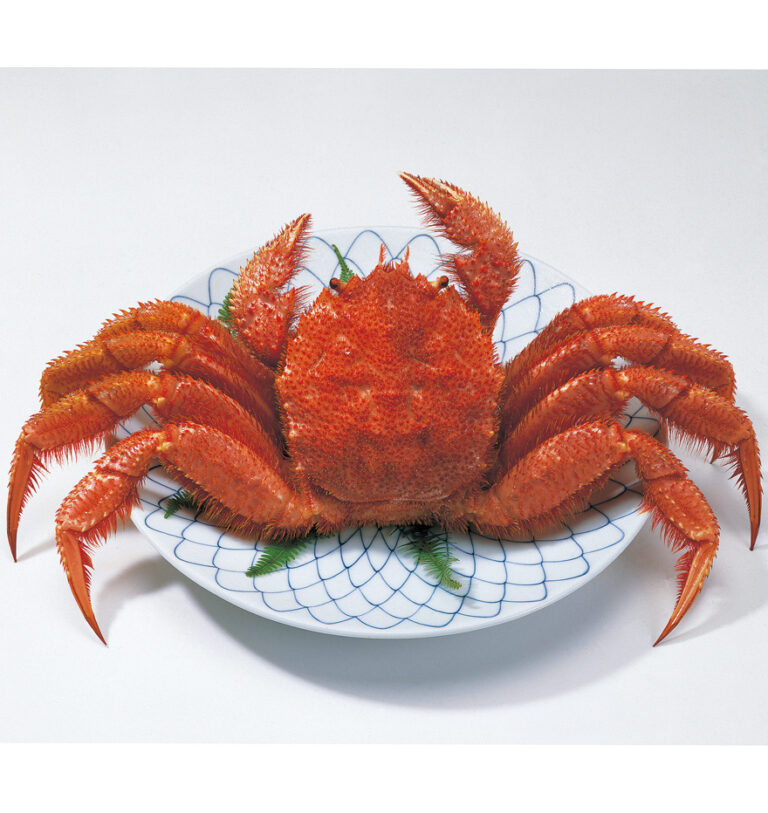かに豆知識｜かに将軍・かに家 - 鮮度が全て、至高の かに料理
